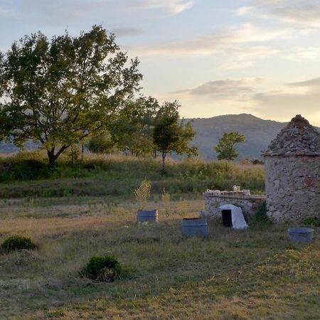 Maison Marthe - Maison Nomade Chic Coursegoules Εξωτερικό φωτογραφία